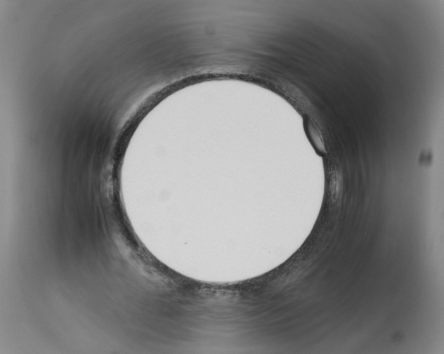 X0000114010676200911131204
