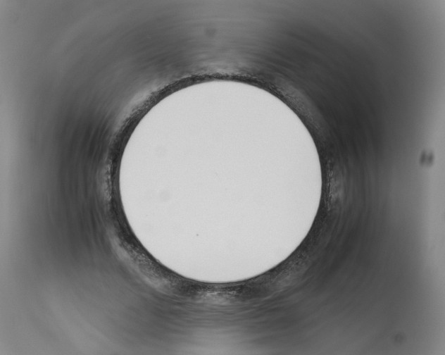 X0000114010680200911131204