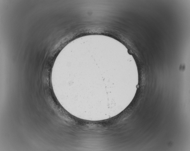 X0000114010681200911131204