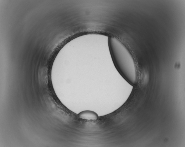 X0000114010684200911131204