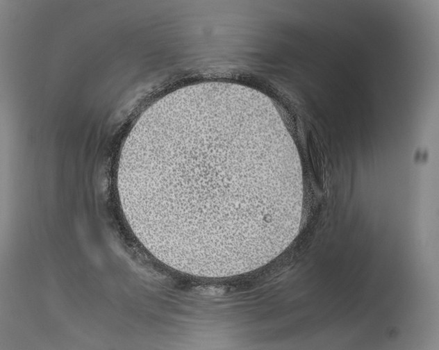 X0000114010687200911131204