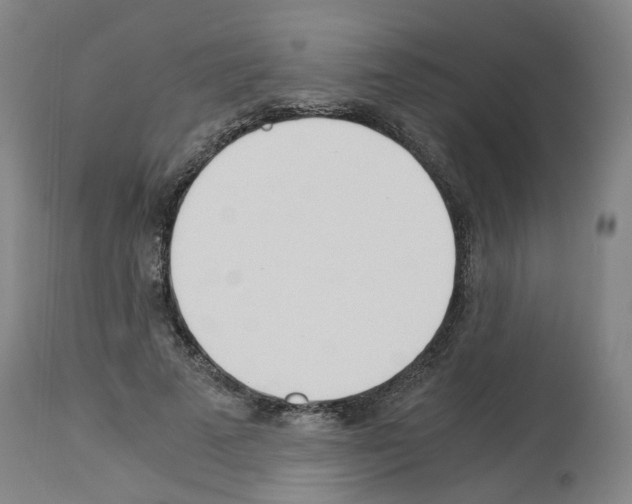 X0000114010689200911131204