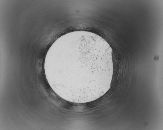 X0000114010695200911131204