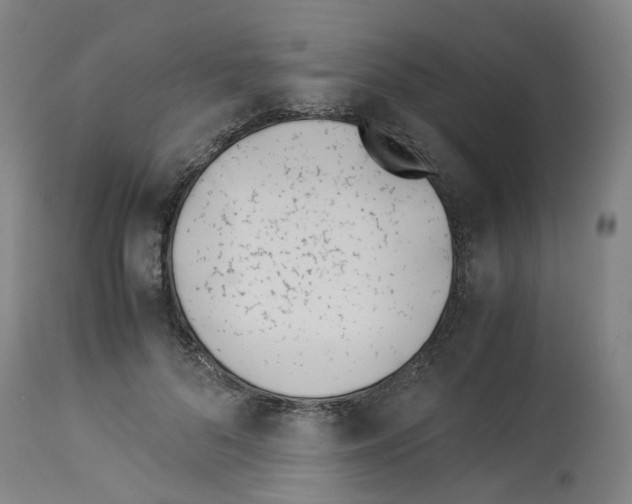 X0000114010696200911131204