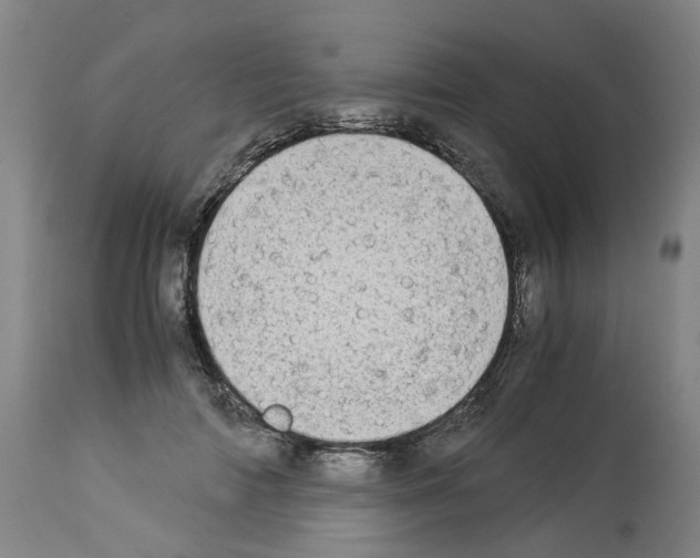 X0000114010698200911131204