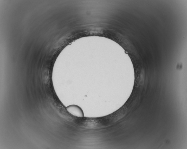 X0000114010704200911131204