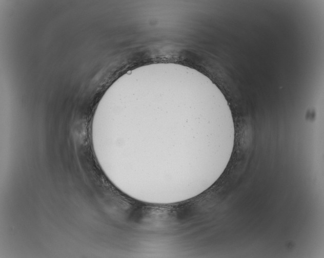X0000114010709200911131204