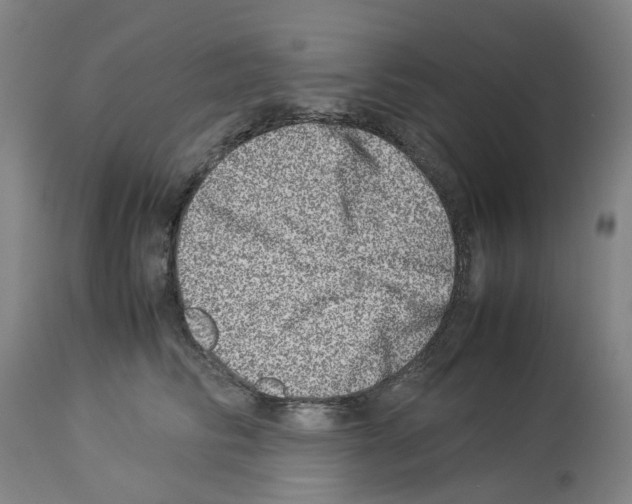 X0000114010710200911131204