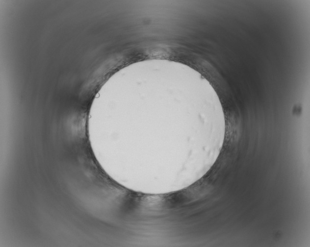 X0000114010717200911131204