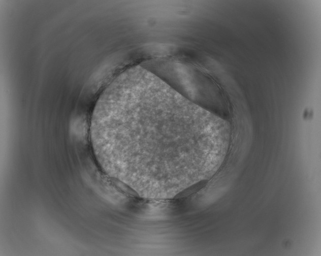 X0000114010720200911131204