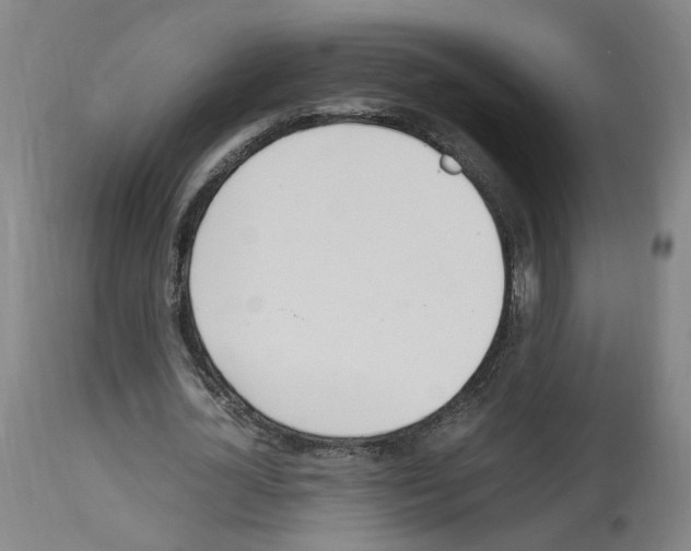 X0000114010724200911131203