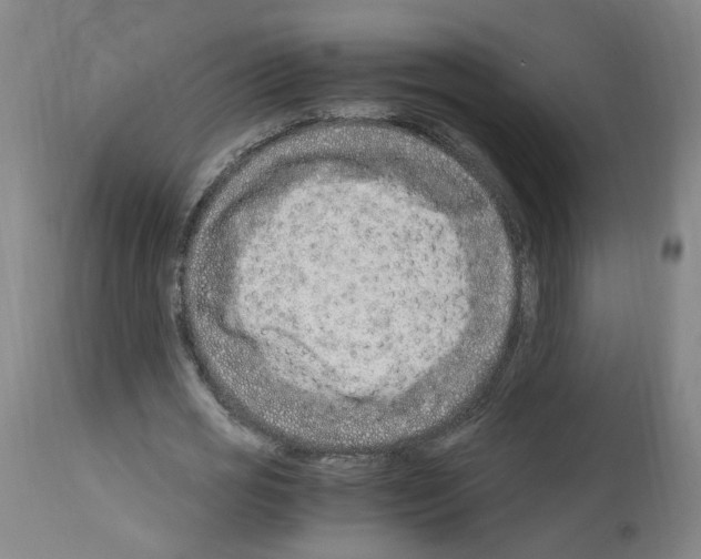 X0000114010725200911131203