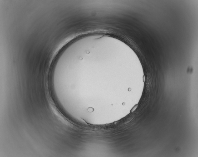 X0000114010726200911131203