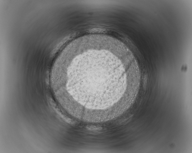 X0000114010729200911131203