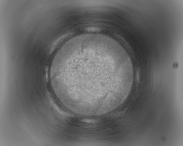 X0000114010733200911131203