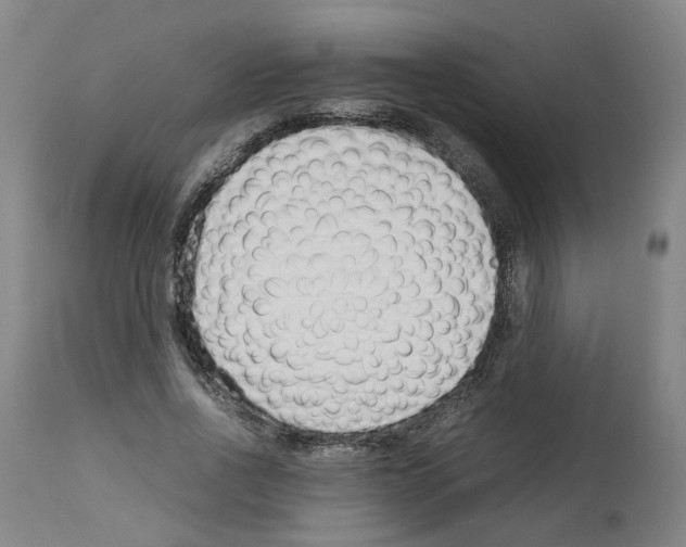 X0000114010734200911131203