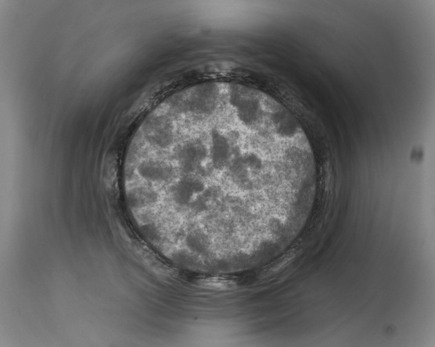 X0000114010754200911131203