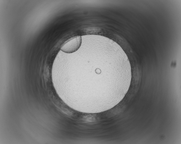 X0000114010761200911131204