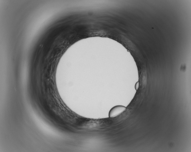 X0000114010764200911131204