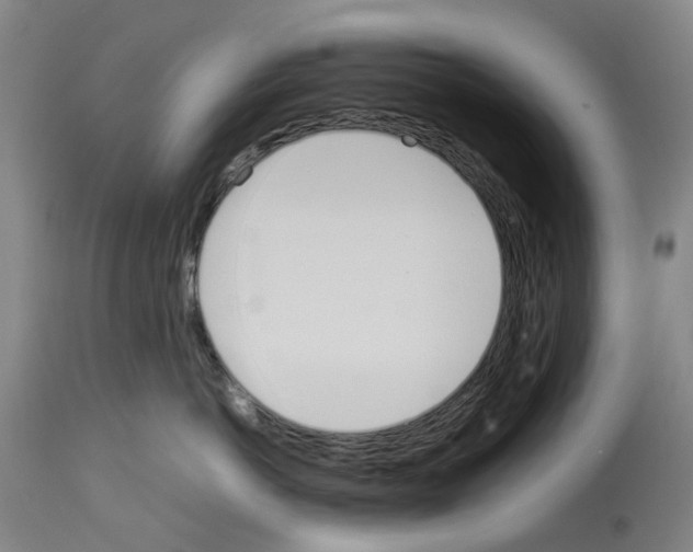 X0000114010766200911131204