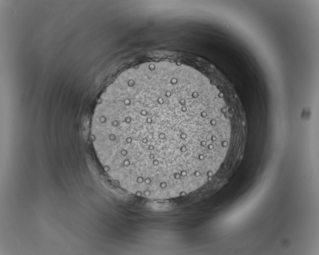 X0000114010767200911131204