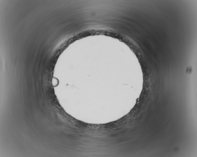 X0000114010775200911131203