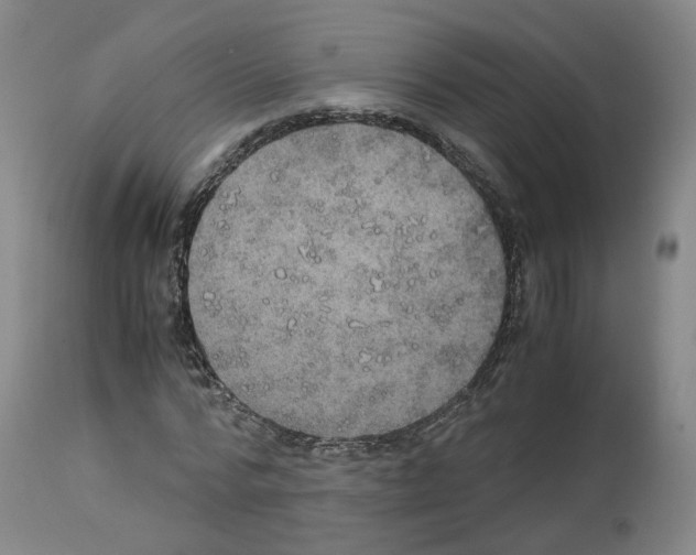 X0000114010776200911131203