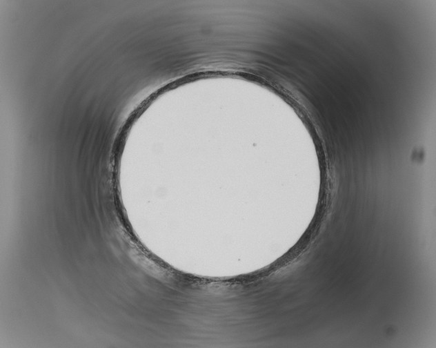 X0000114010779200911131203