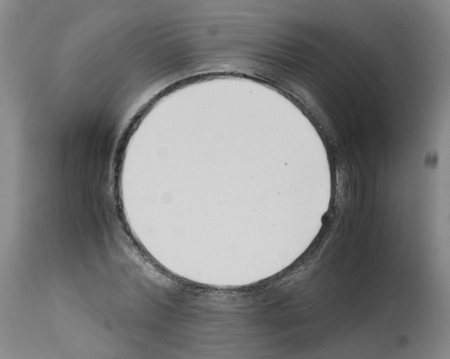 X0000114010780200911131203