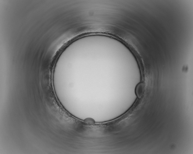 X0000114010781200911131203