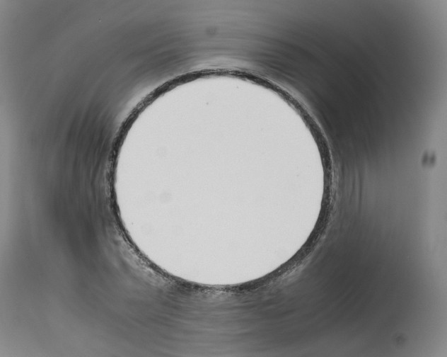 X0000114010783200911131203