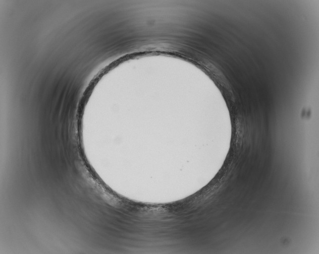 X0000114010784200911131203