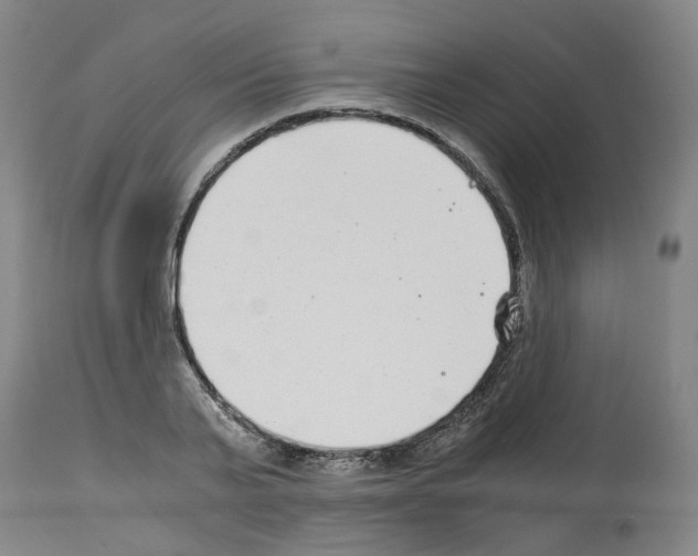 X0000114010791200911131203