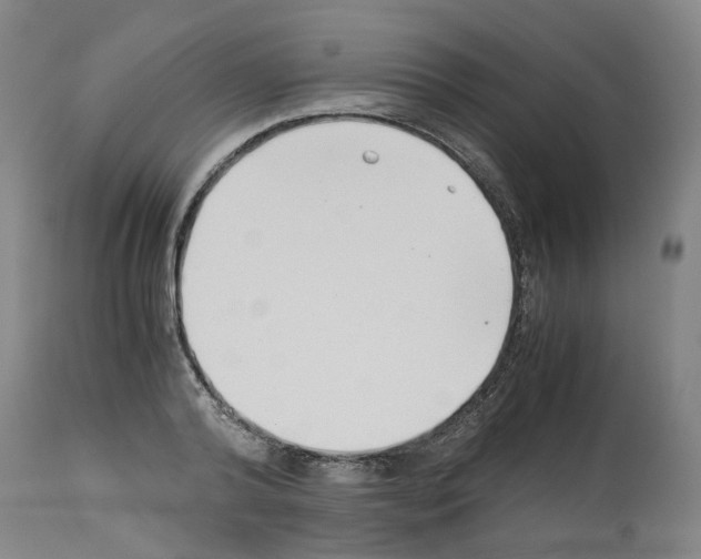 X0000114010792200911131203