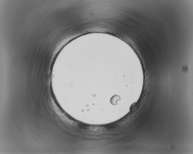 X0000114010795200911131203
