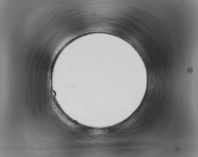 X0000114010796200911131203