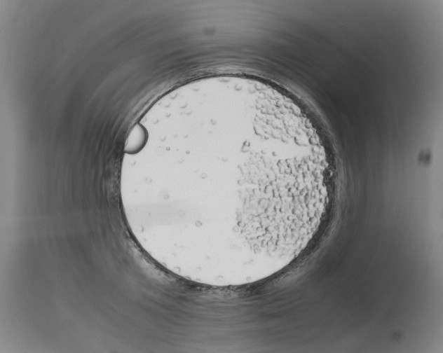 X0000114010801200911131202