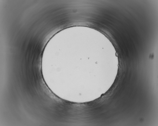 X0000114010804200911131202