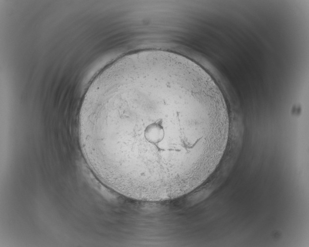 X0000114010807200911131202