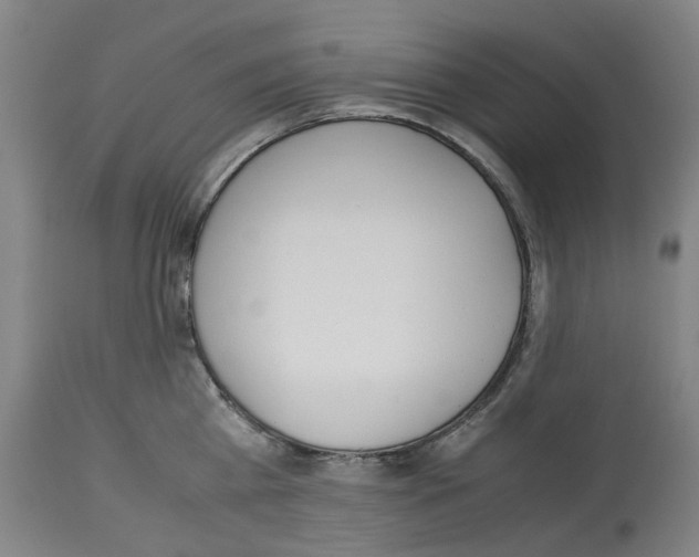 X0000114010809200911131202