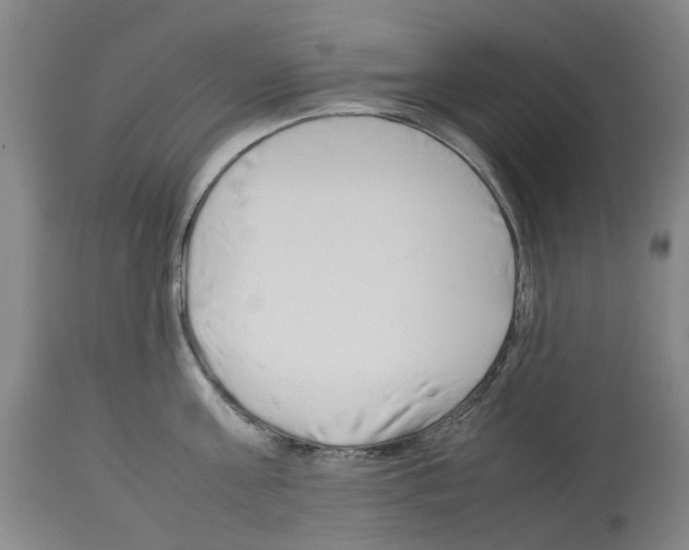 X0000114010811200911131202