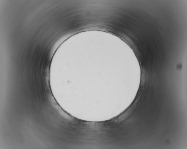 X0000114010812200911131202