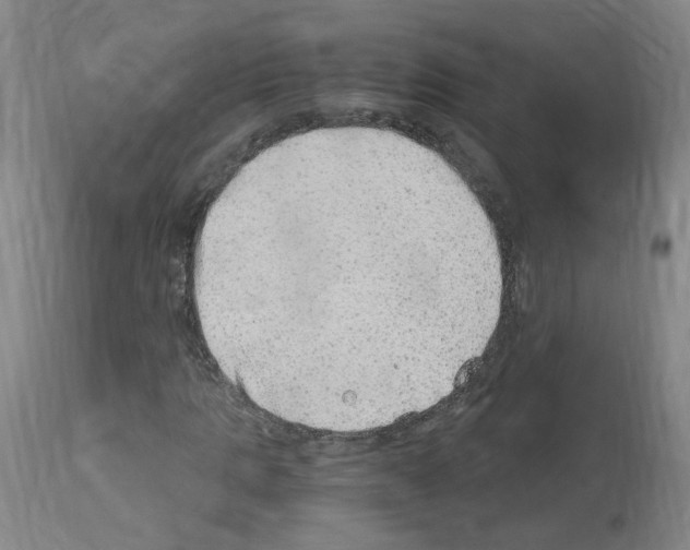 X0000114010821200911131202