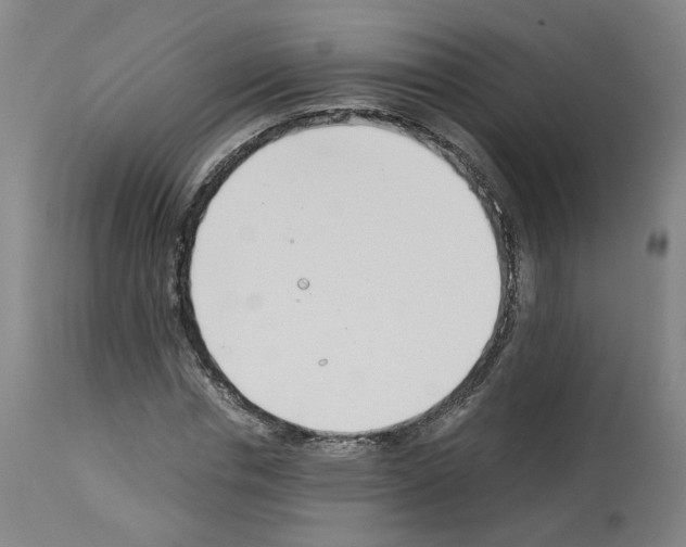 X0000114010826200911131202