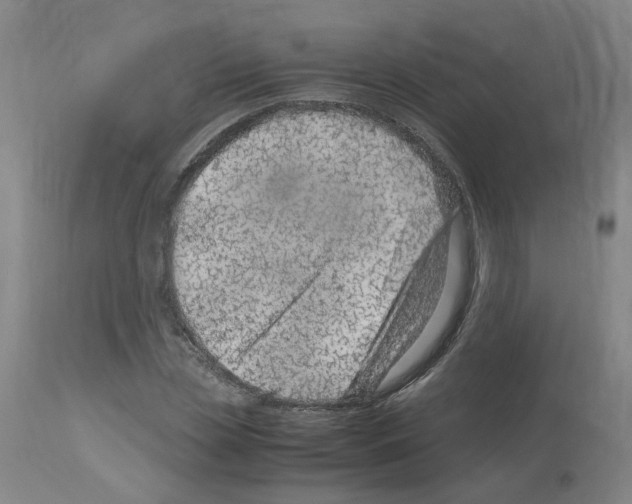 X0000114010829200911131202