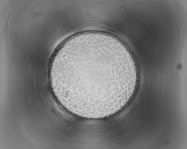 X0000114010830200911131202