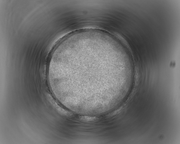 X0000114010831200911131202