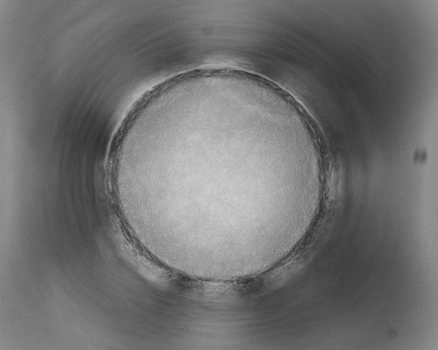 X0000114010832200911131202