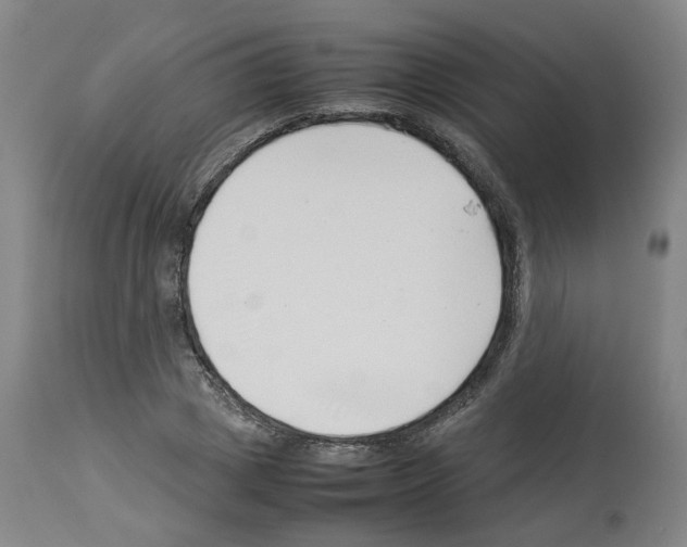 X0000114010833200911131202