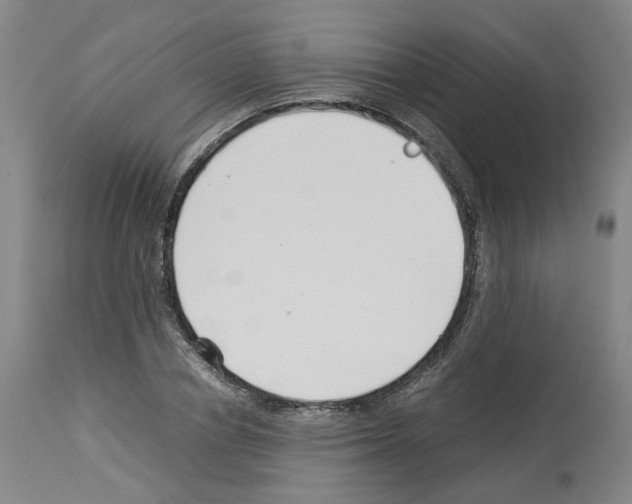 X0000114010834200911131202